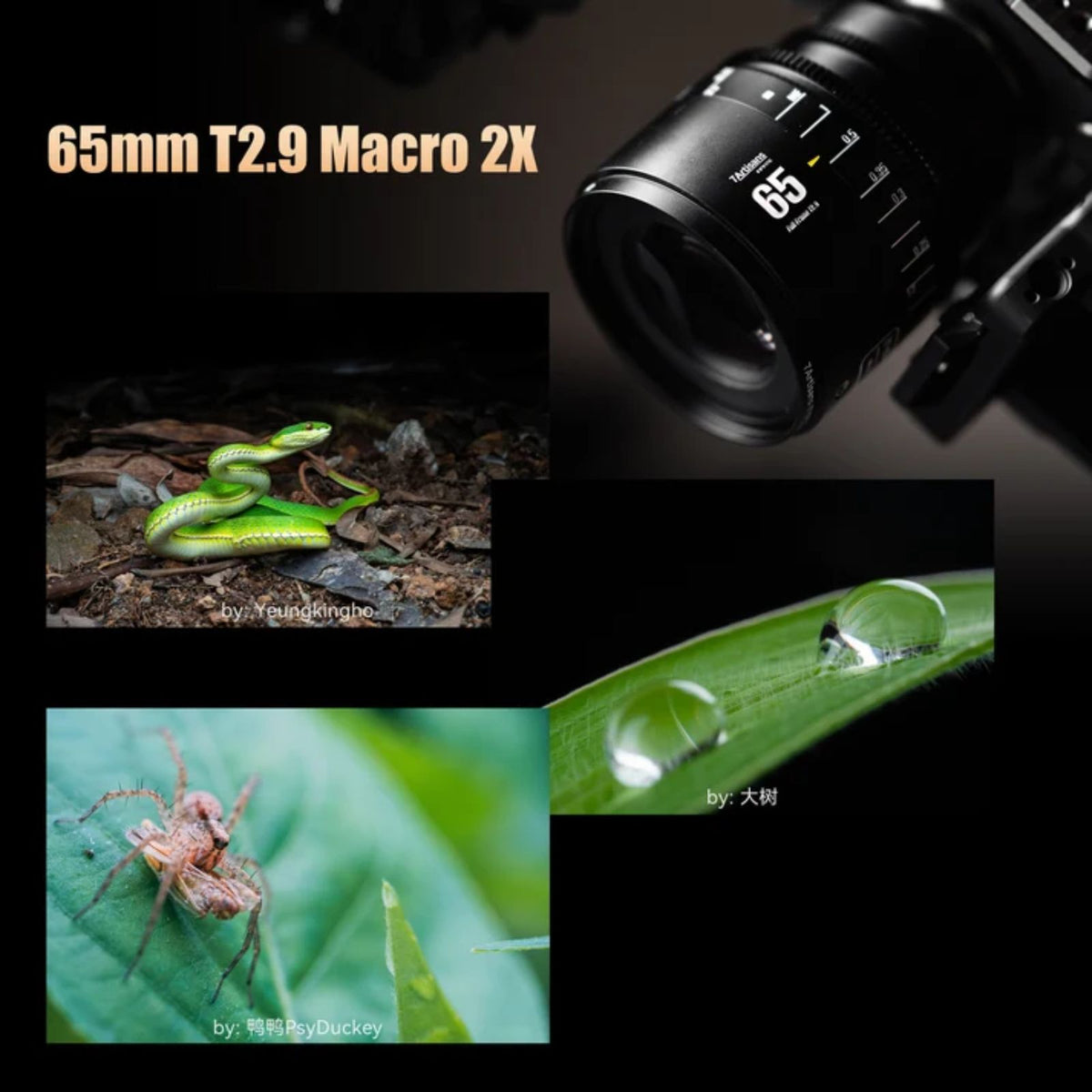 7Artisans 65mm T2.9