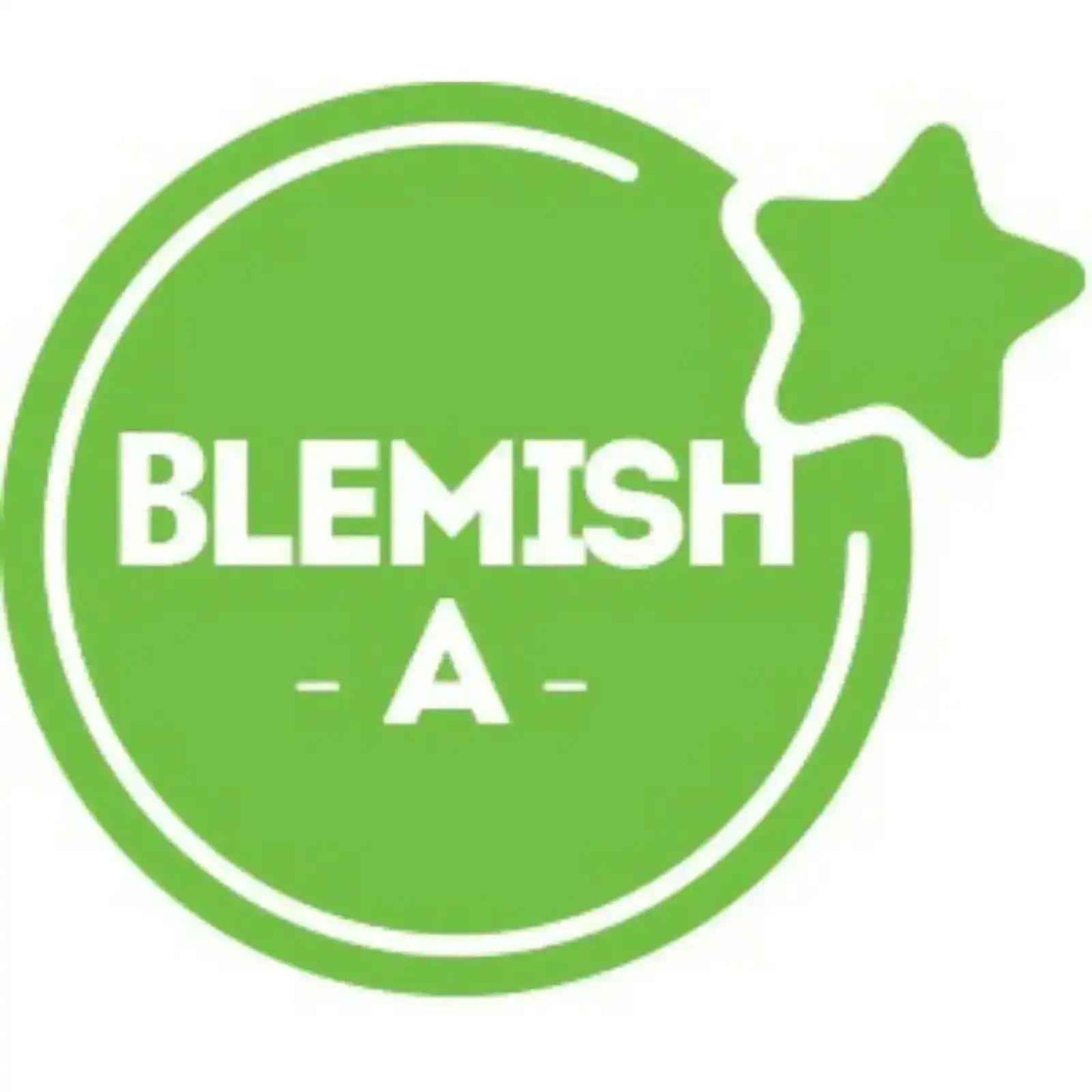 BLEMISH OLED Assembly for iPhone 12 Pro Max Screen Replacement (Grade A)