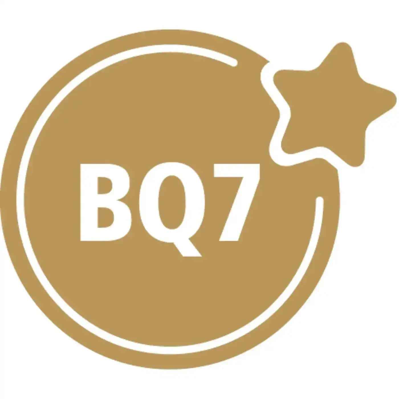 BQ7 Hard OLED Assembly for iPhone X Screen Replacement