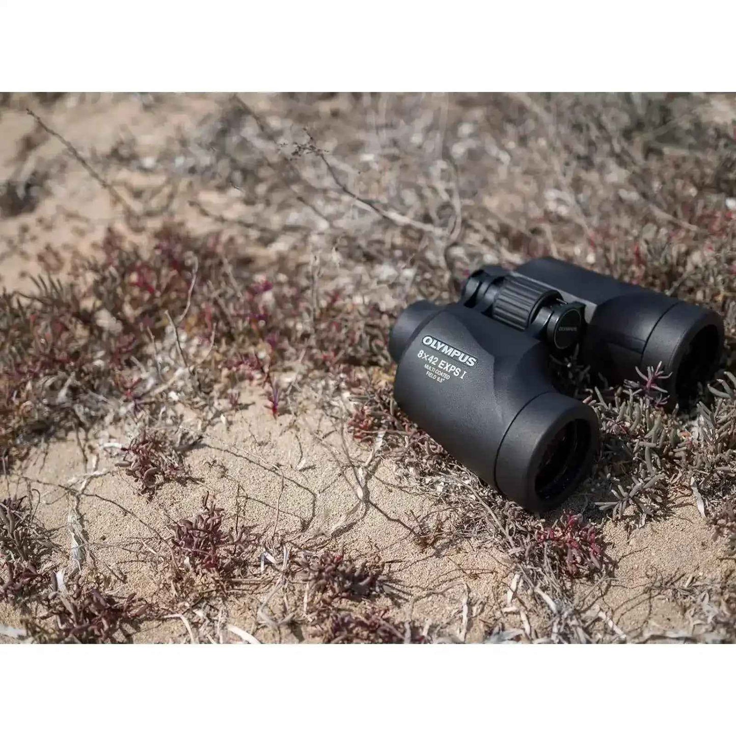 Olympus 8 X 42 EXPS I Binoculars