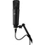 Warm Audio WA-87 R2 Condenser Microphone (Black)