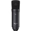 Tascam TM-80 Condenser Microphone (Black)