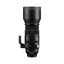 Sigma 150-600mm F5-6.3 DG DN OS | Sports
