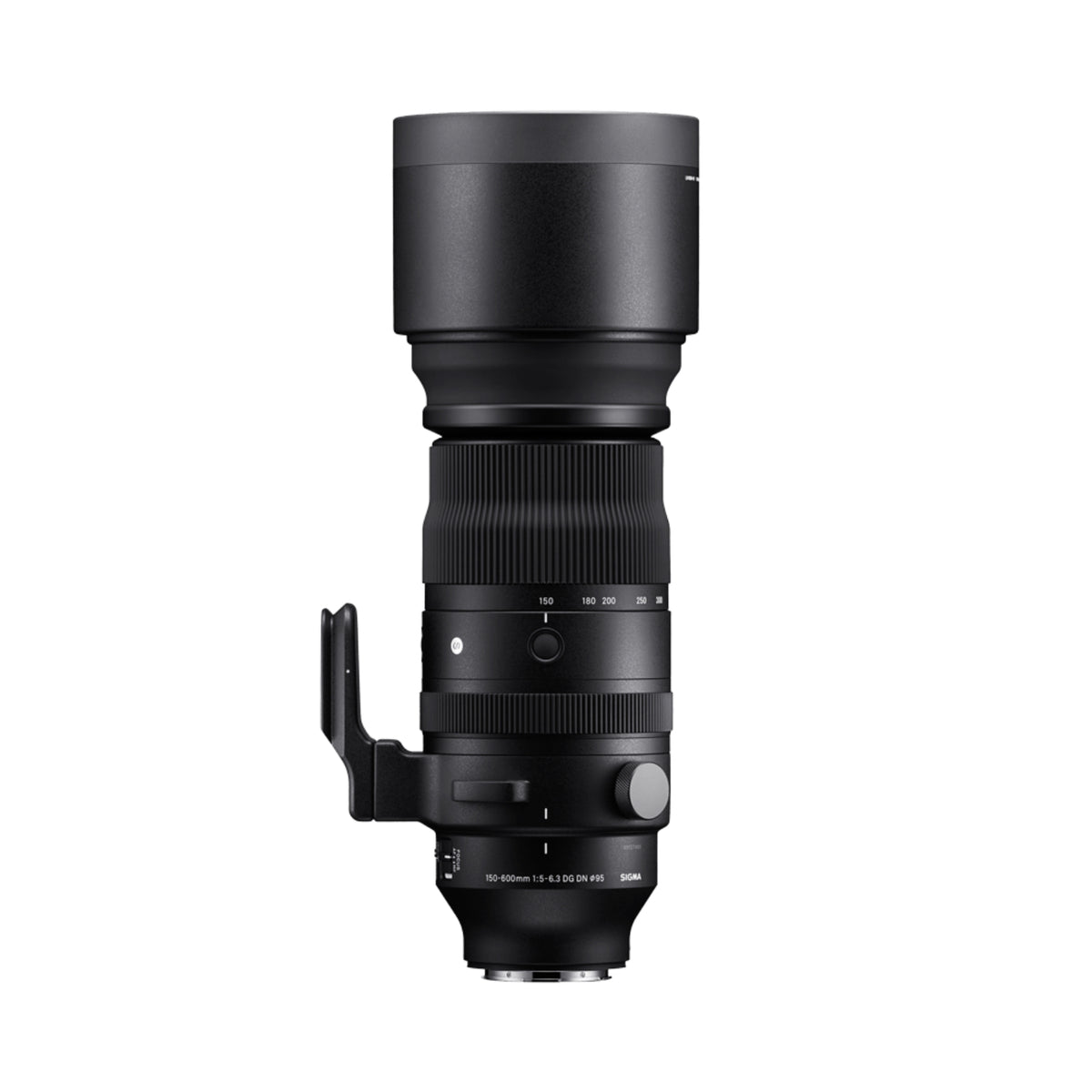Sigma 150-600mm F5-6.3 DG DN OS | Sports