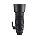 Sigma 60-600mm F4.5-6.3 DG DN OS | Sports