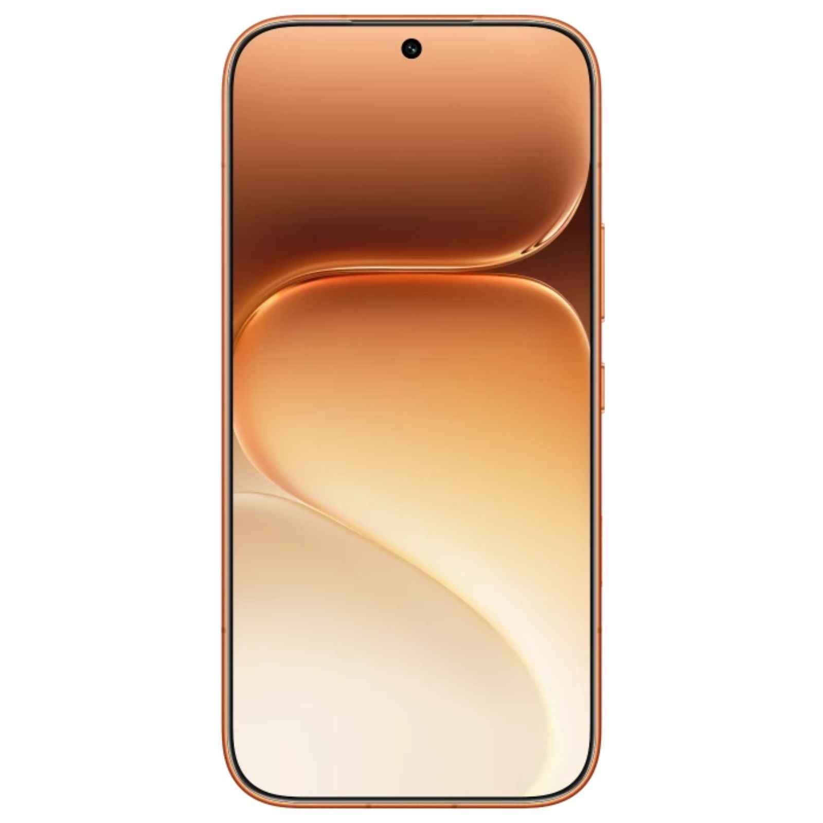 Honor 600 Pro 5G (12GB) Global