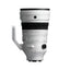Sigma 200mm F2 DG OS | Sports