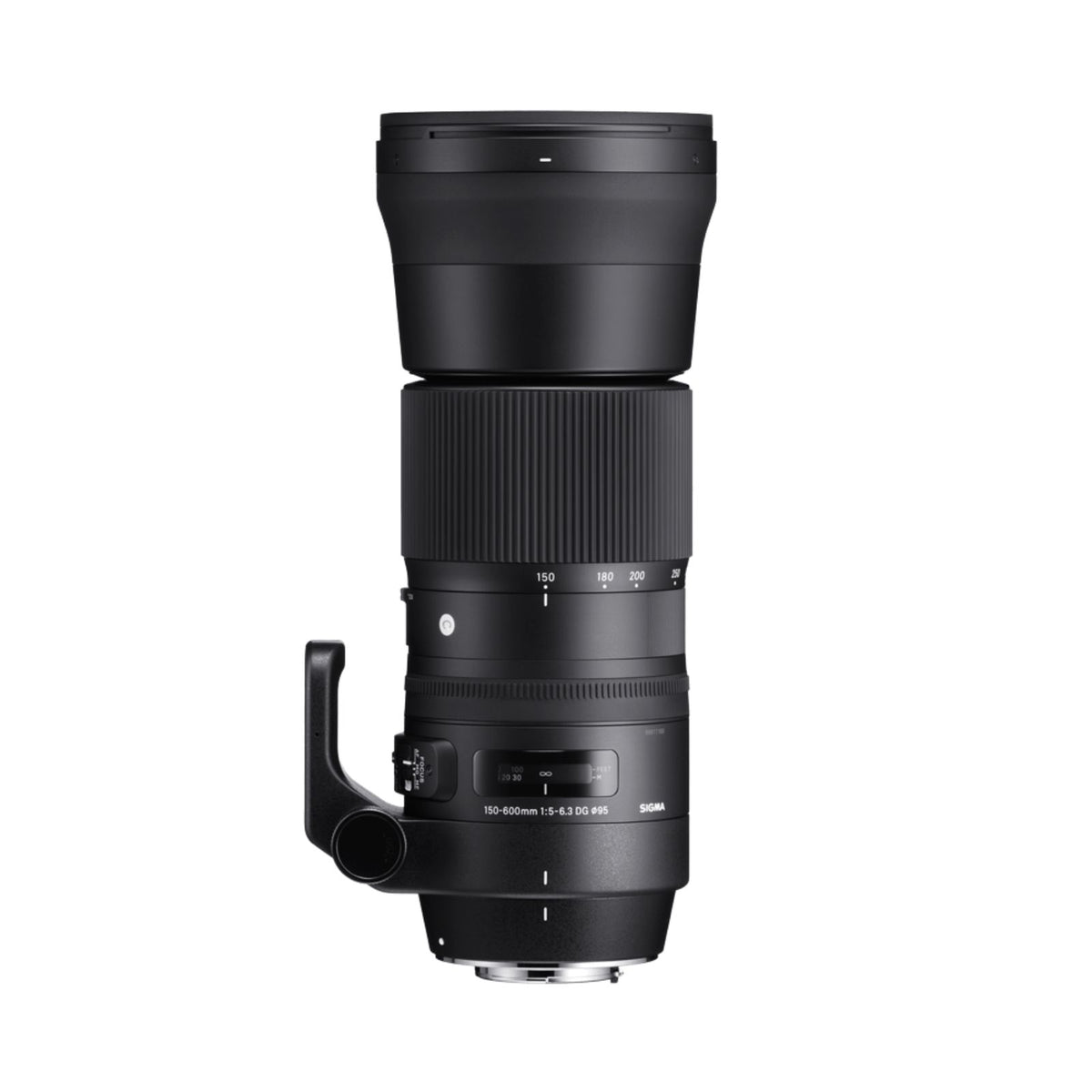 Sigma 150-600mm F5-6.3 DG OS HSM | C (Nikon)