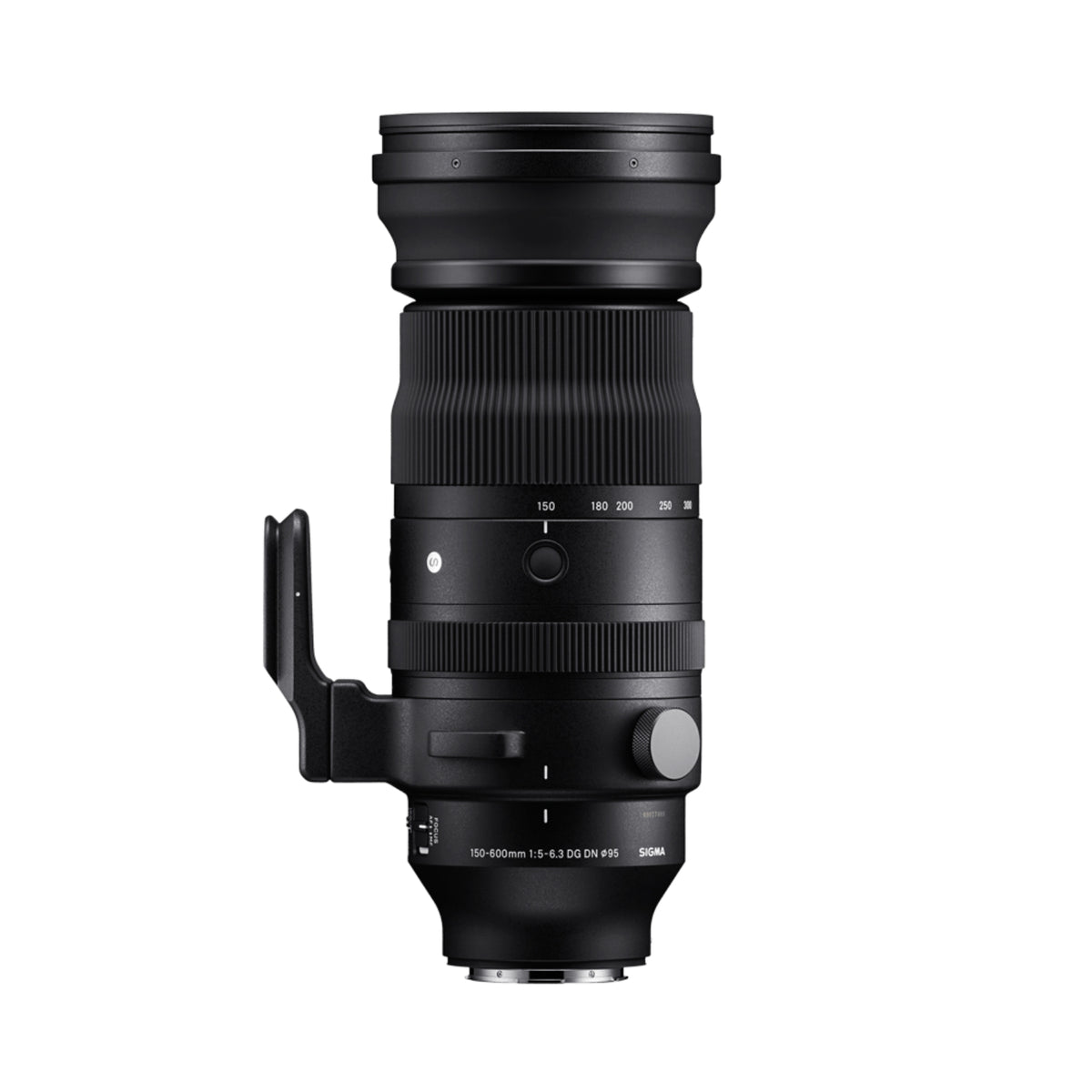 Sigma 150-600mm F5-6.3 DG DN OS | Sports