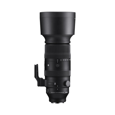 Sigma 60-600mm F4.5-6.3 DG DN OS | Sports