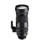 Sigma 150-600mm F5-6.3 DG DN OS | Sports