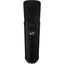 Warm Audio WA-87 R2 Condenser Microphone (Black)