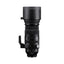 Sigma 150-600mm F5-6.3 DG DN OS | Sports