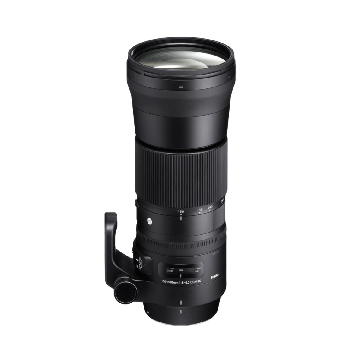 Sigma 150-600mm F5-6.3 DG OS HSM | C (Nikon)