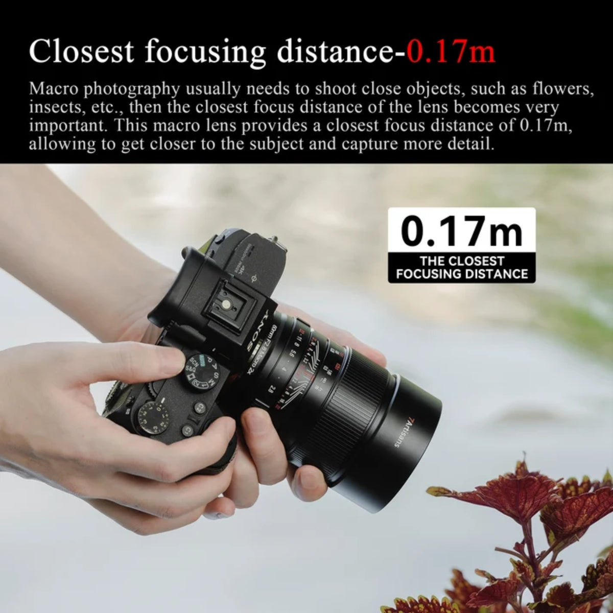 7Artisans 60mm F2.8 Macro 2x