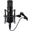 Warm Audio WA-47jr Condenser Microphone (Black)