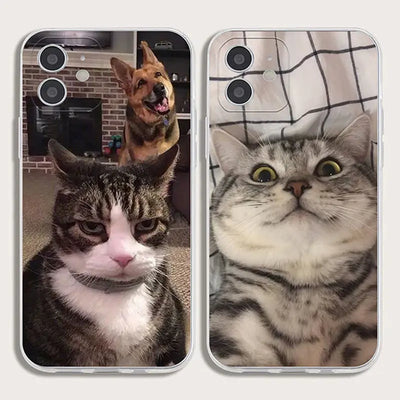 Painted Cat Transparent TPU Soft Shell Phone Case Online Only