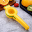 Stainless Steel Clip Manual Juicer Fruit Squeezer