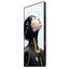 Nubia RedMagic 11 Pro 5G Global version