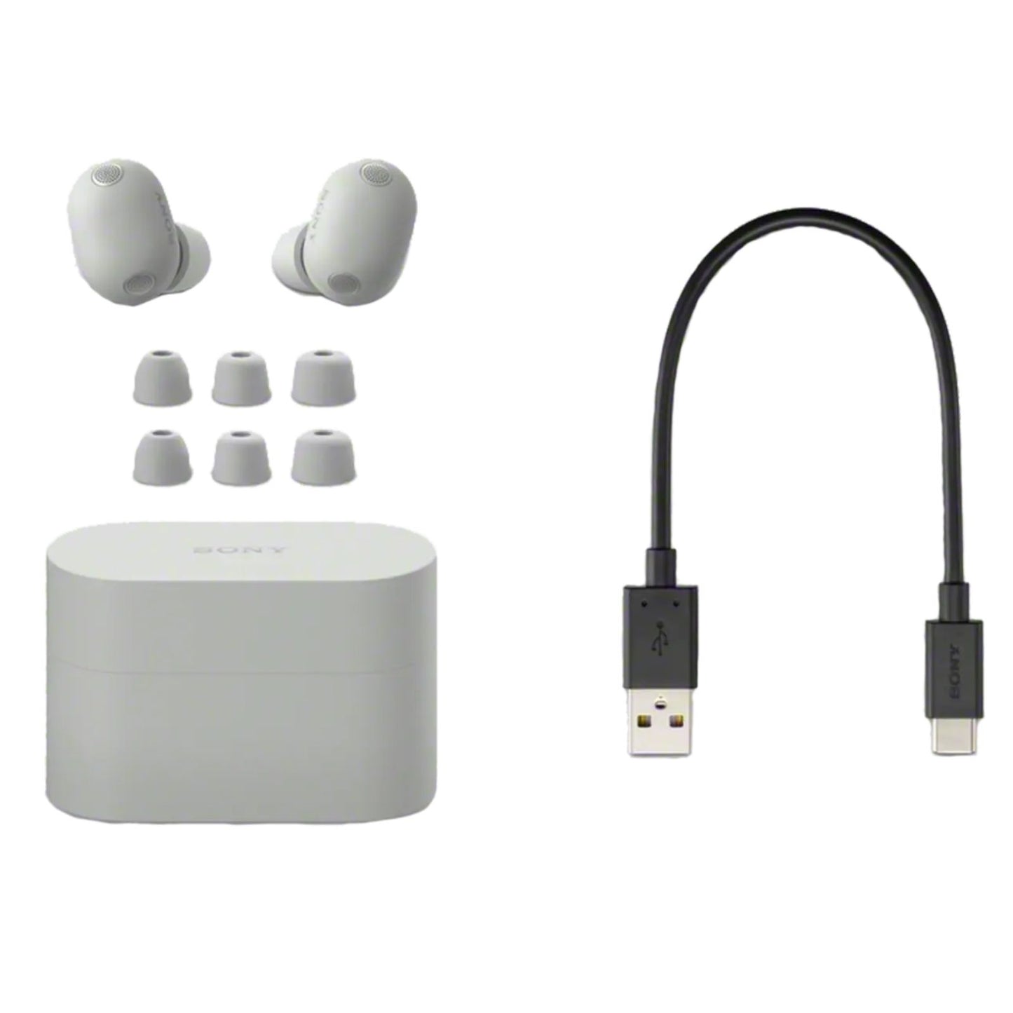 Sony WF-1000X M6 Wireless NC Earphones