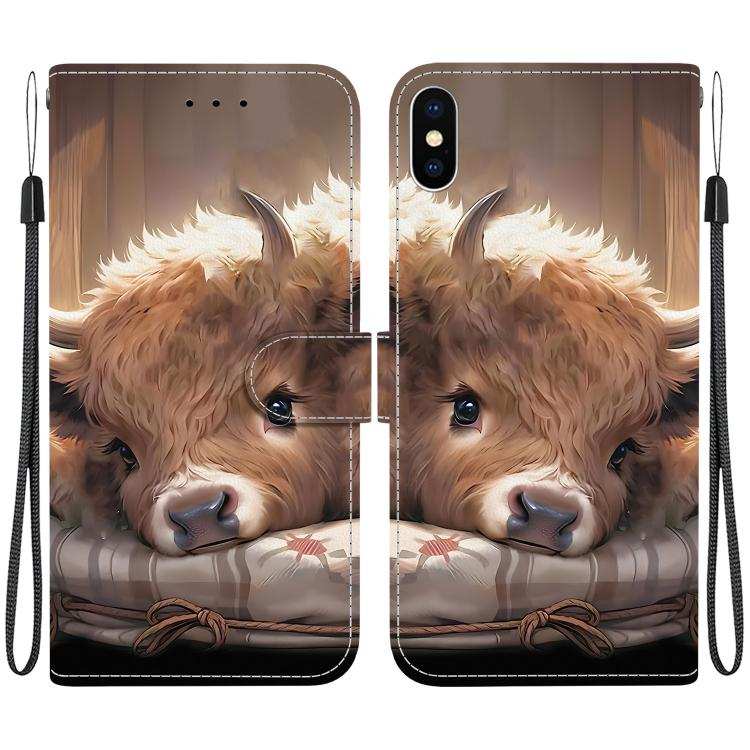 Crystal Texture Colored Drawing Leather Phone Case