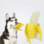 Creative Pet TPR Banana Pet Interactive Toy Supplies - MyMobile