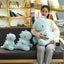 Cute Down Cotton Dinosaur Plush Doll - MyMobile