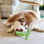 Dog Molar Toy Large Dog Brushing Artifact Pet Supplies - MyMobile