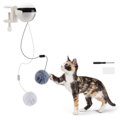 Electric Automatic Lifting Motion Cat Toy Teaser Ball Pet Supply Lifting Toys - MyMobile