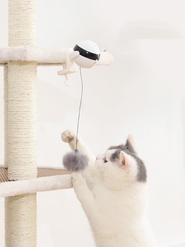 Electric Automatic Lifting Motion Cat Toy Teaser Ball Pet Supply Lifting Toys - MyMobile