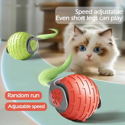 New Interactive Cat Toys Ball Auto Electric Rolling Ball Toys For Cat Kitty Pets Smart Automatic Teaser USB Rechargeable Cat Toy Pet Products - MyMobile