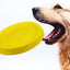 Pet Dogs Throwing Plastic Toys - MyMobile