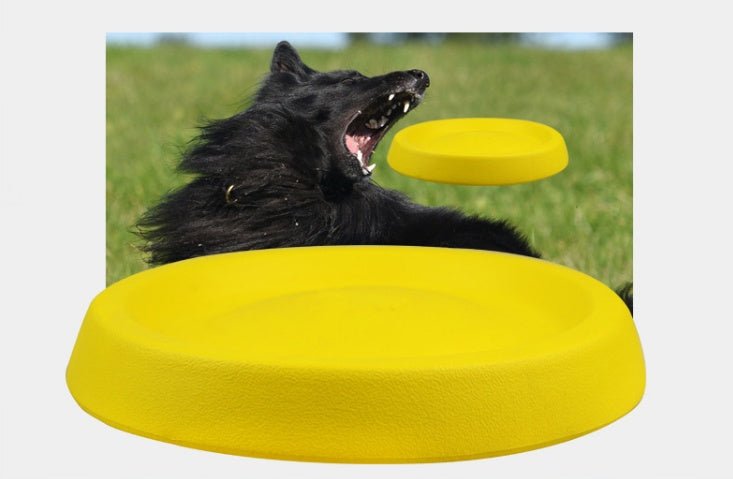 Pet Dogs Throwing Plastic Toys - MyMobile