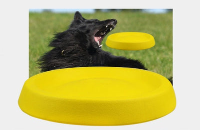 Pet Dogs Throwing Plastic Toys - MyMobile