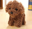 Pet doll teddy dog toy For Kids & Children - MyMobile