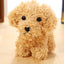 Pet doll teddy dog toy For Kids & Children - MyMobile