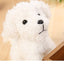 Pet doll teddy dog toy For Kids & Children - MyMobile