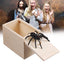 Prank Spider Wooden Scare Box Trick Play Joke Lifelike Surprise April Fools' Day - MyMobile