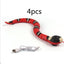 Smart Sensing Interactive Cat Toys Automatic Eletronic Snake Cat Teasering Play USB Rechargeable For Cats Dogs Pet - MyMobile