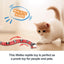 Smart Sensing Interactive Cat Toys Automatic Eletronic Snake Cat Teasering Play USB Rechargeable For Cats Dogs Pet - MyMobile