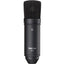 Tascam TM - 80 Condenser Microphone (Black) - MyMobile