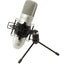 Tascam TM - 80 Condenser Microphone (Silver) - MyMobile