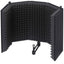 Tascam TM-AR1 Microphone Reflection Filter